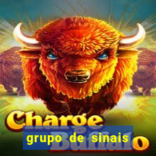 grupo de sinais mines whatsapp